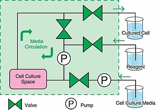  All-in-one disposable PDMS chip sample configuration