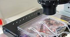 PCME-System Observable on a microscope