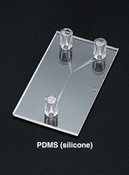 PDMS Chips